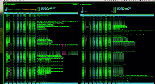 Linux Server Administrator
