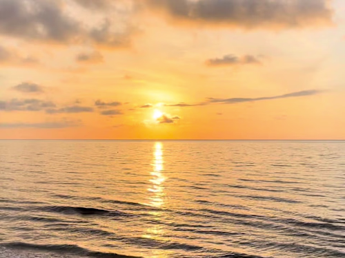 Exploring Palm Beach • Eau Palm Beach Resort & Spa