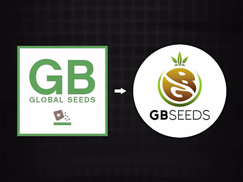 GB SEEDS | Logo redesign, web banner and product flyers design