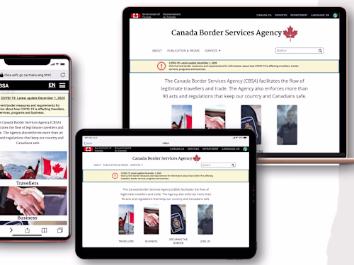 Case Study 5 - CBSA Government (Website - Redesign).pdf