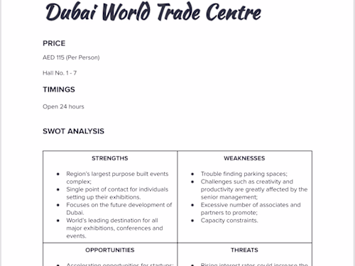 Marketing Strategy Development for New Product Line