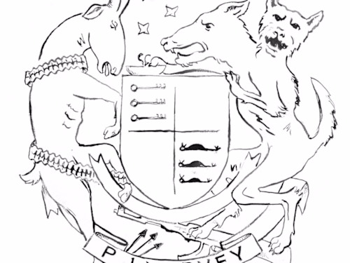 The Hope Six Demolition Project