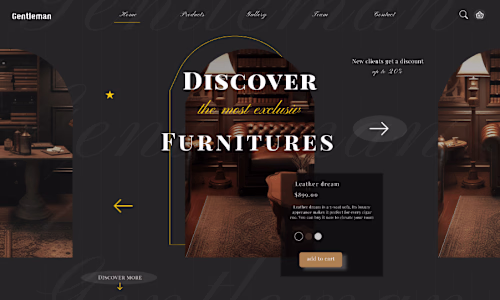 Case study for a luxury furniture company