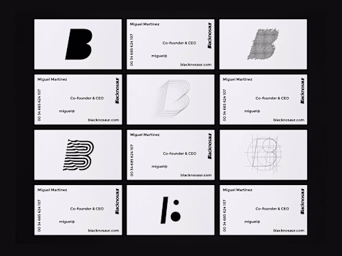 Blacknosaur Agency: Art direction, Branding