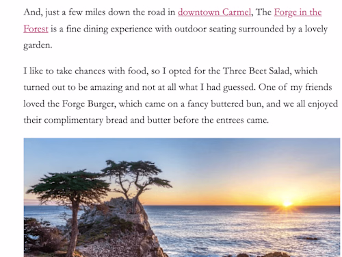 Guest Writer (Travel Blog)