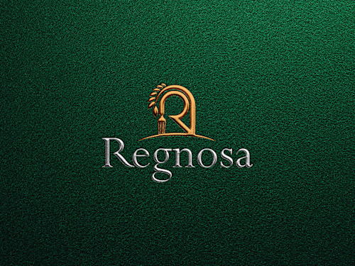 Regnosa Brand Identity
