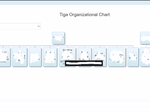 Interactive Org Chart Data Visualization & QA in TIGA Employ...