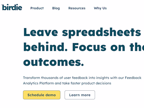 Birdie Product Positioning