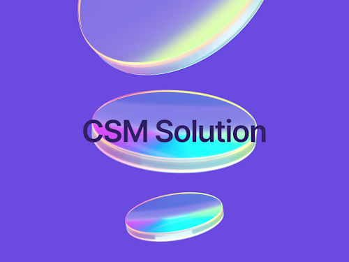 Crafting an internal CSM solution to assist growth