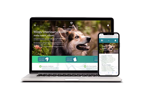 Brand Creation & Web Design/Development