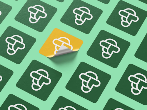 New Africa Brand Redesign