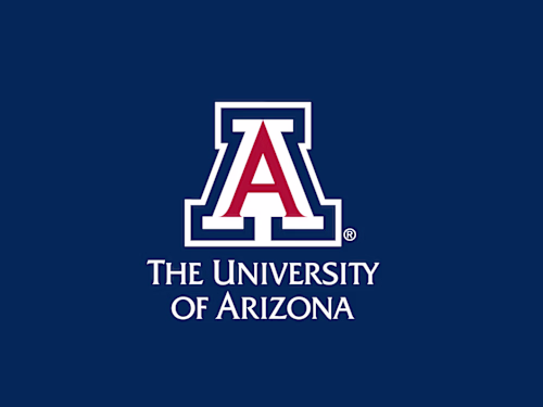 University of Arizona Marketing Projects