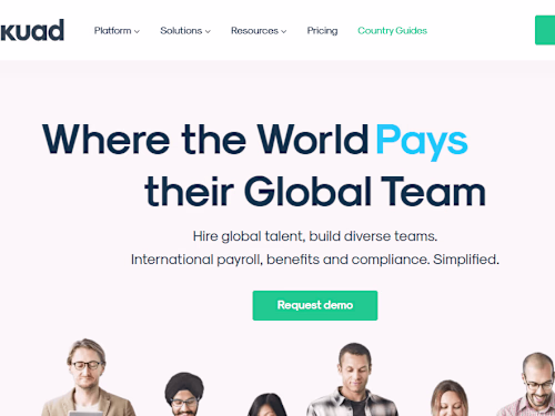 User Interface Design Consultant