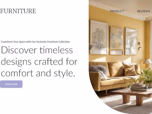 Landing page for a Furniture store