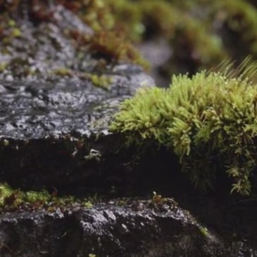 Ahsan A. on Instagram: “Commercial Video - Elkali Water Need a …