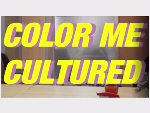 Color Me Cultured - Pitch Teaser