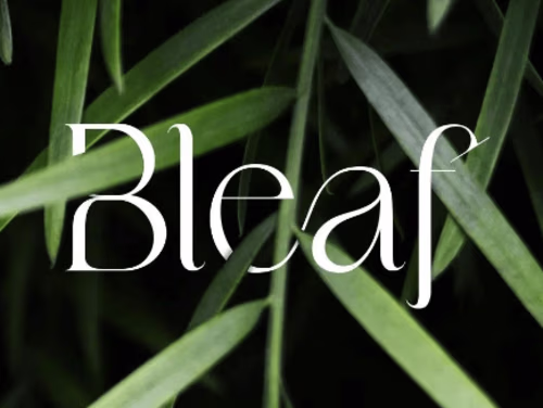 Bleaf Logo Design