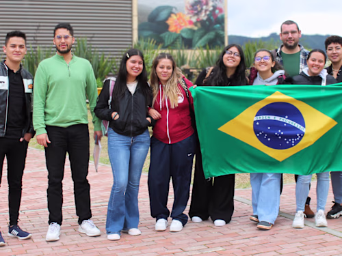 Professional Assistant in
International Relations