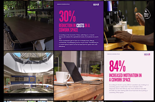 Indigo: Brand Development