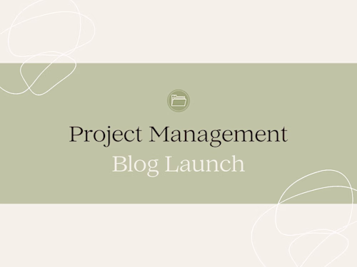 Project Management - Software setup and integration