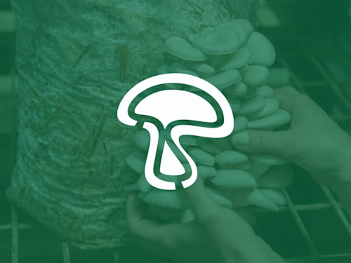 LamBrella Mushroom Farm - Logo and Branding Project