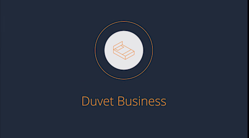 Created a professional investor pitch