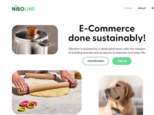 Niboline: E-Commerce Innovation with Sustainable Solutions