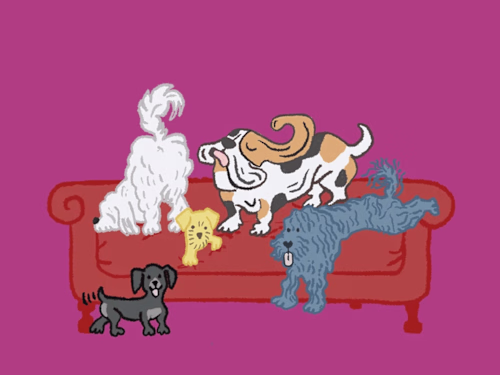 Illustrations + Social Media Design | FluffPup