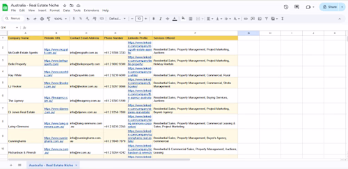 Business Support Work Samples: Data, Leads & Customer Support