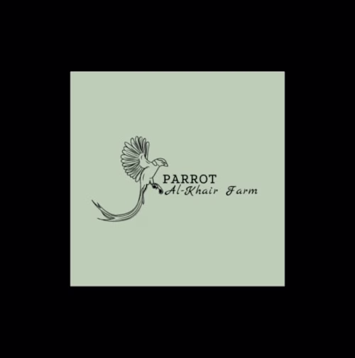 I will design professional minimalist modern business logo