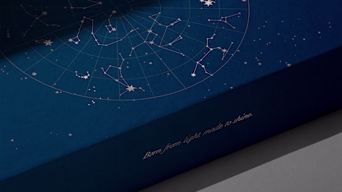 Brand Identity and Packaging for Arcturo