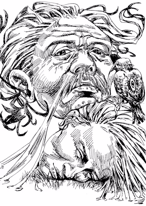 Illustrations 