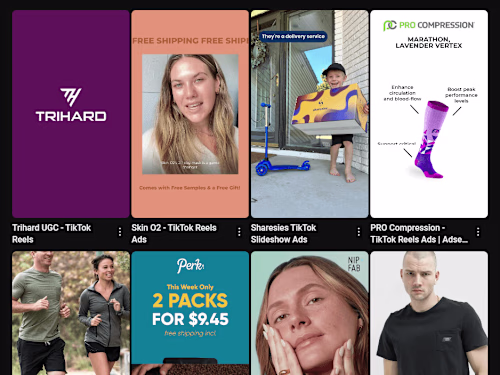 TikTok Reels Motion Ads