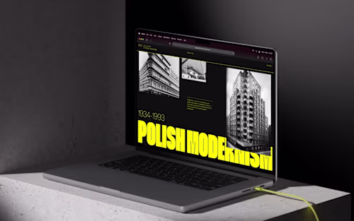 Polish Modernism - Web Design 