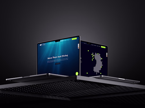 Turtle Divers | Projects| Limelight Digital