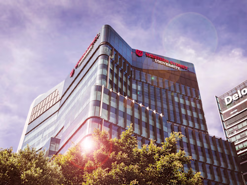 Higher Degree Research Interactive Showcase