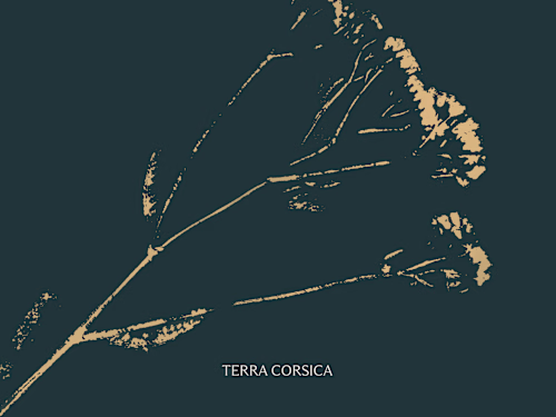 Visual Identity for Terra Corsica