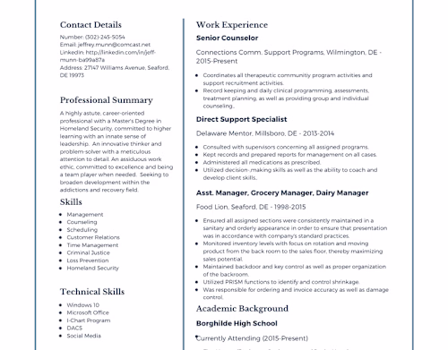 Sample Resume/CV Design