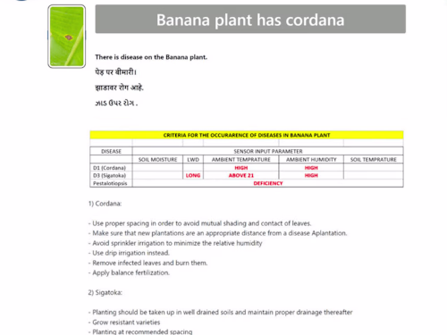 Detecting Disease in Plant using ANN and CNN models in Python