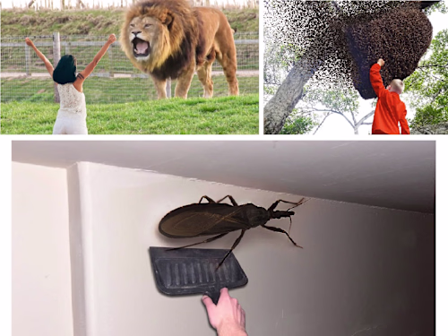 Creative Photo Manipulation and Realistic Thumbnail Design