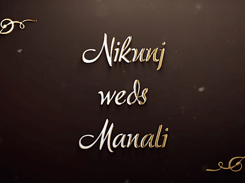 Wedding Highlights