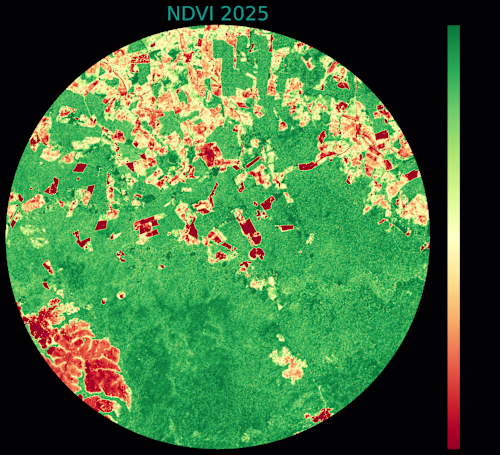 Deforestation Monitoring 