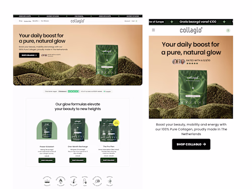 Complete E-Commerce Store Development