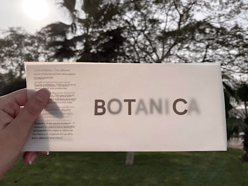 BOTANICA Brand Identity Design