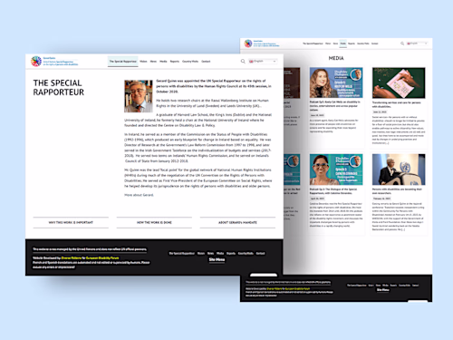 The UN Special Rapporteur web UI design. 
