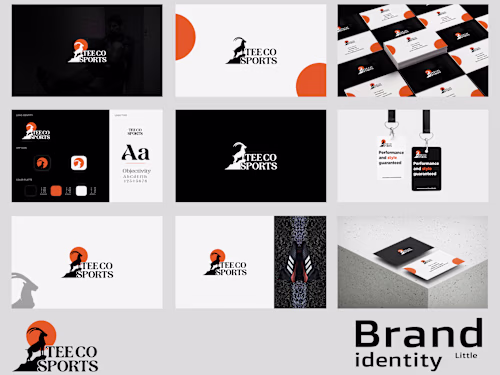 TEE CO SPORT / Branding: logo design, visual identity
