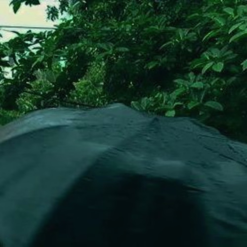 Asutosh Mahapatra on Instagram: “Rainy days 💙
.
. #rain #aesth…