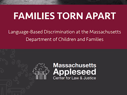 Language Discrimination Research