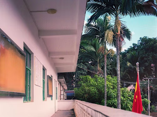 Tropical Spark: A Photographic Journey