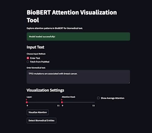 BioBERT Attention Visualization Tool
An interactive